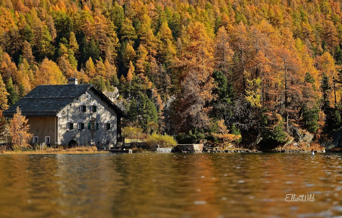 Фото обои осень, лес, природа, дом, река, вилла