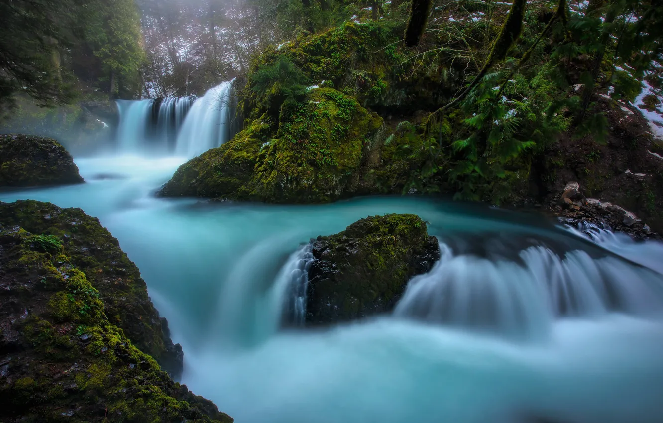 Фото обои лес, река, водопад, мох, Columbia River Gorge, Washington State, Little White Salmon River, Spirit Falls