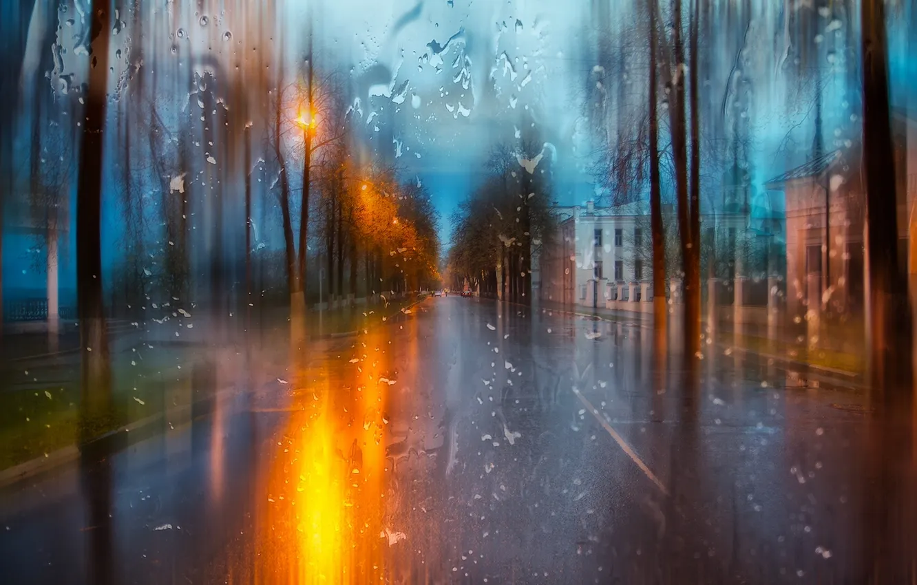 Фото обои природа, город, дождь, вечер