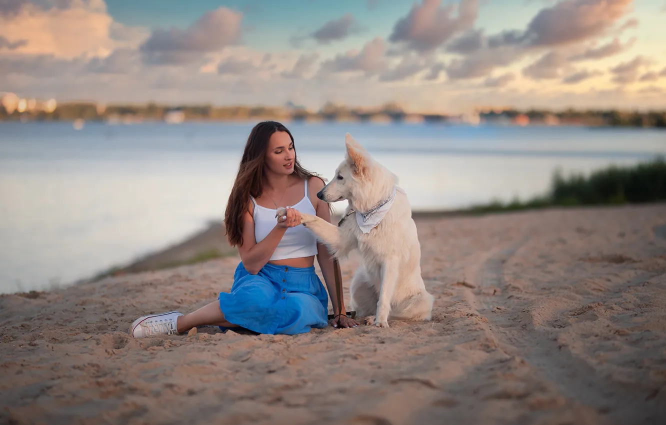 Фото обои песок, девушка, река, собака, друзья, Дмитрий Шульгин