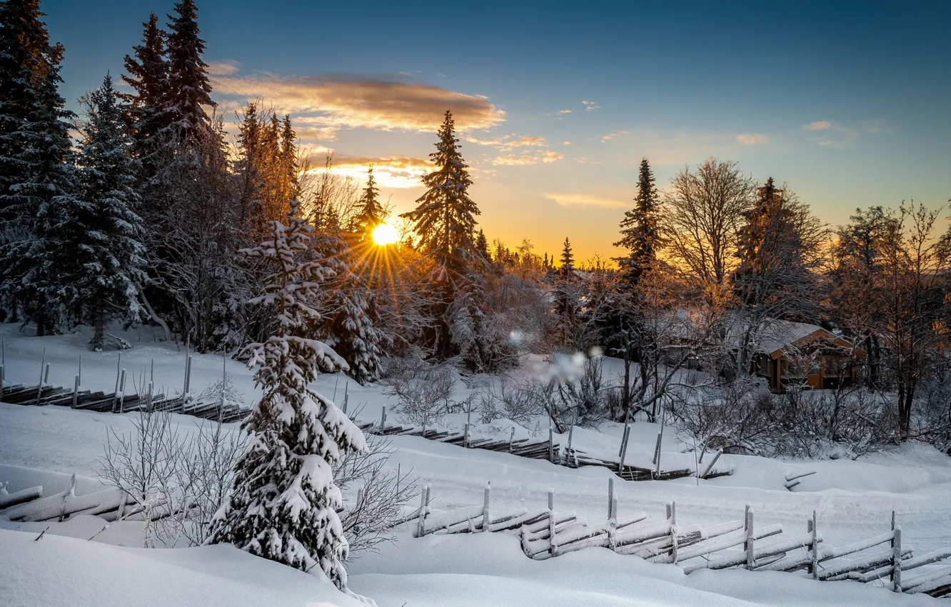 Фото обои зима, лес, закат, Норвегия, Norway, Лиллехаммер, Lillehammer
