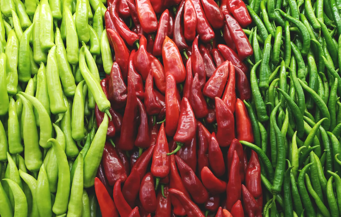 Фото обои красный, зеленый, перец, острый, кучки, овощи, много, виды