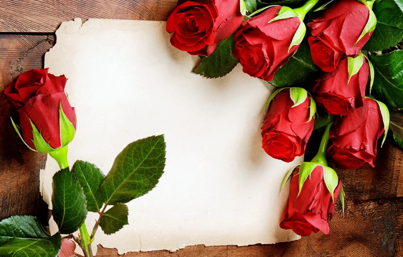 Фото обои розы, красные, red, flowers, romantic, roses, with love
