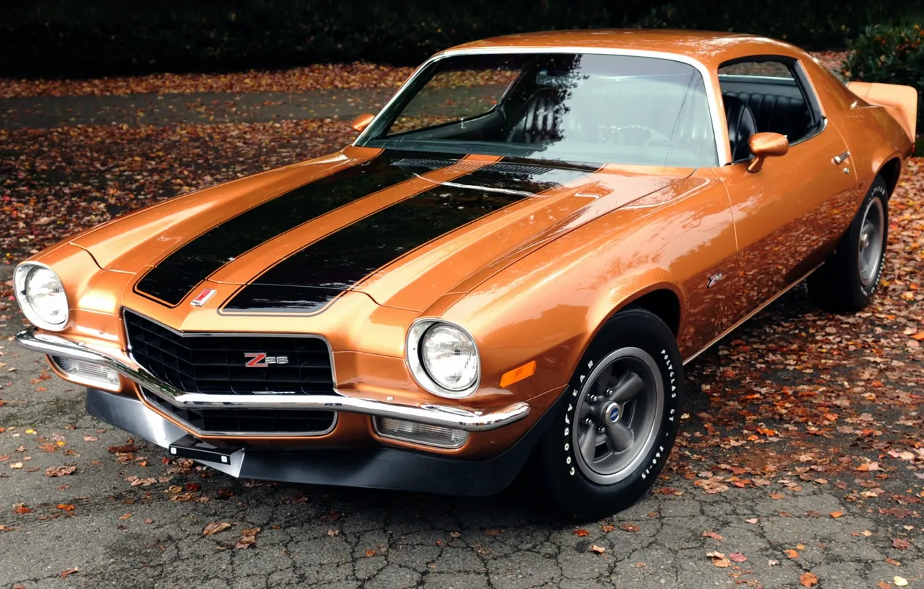 Фото обои листья, оранжевый, фон, купе, Chevrolet, Камаро, Шевроле, 1971