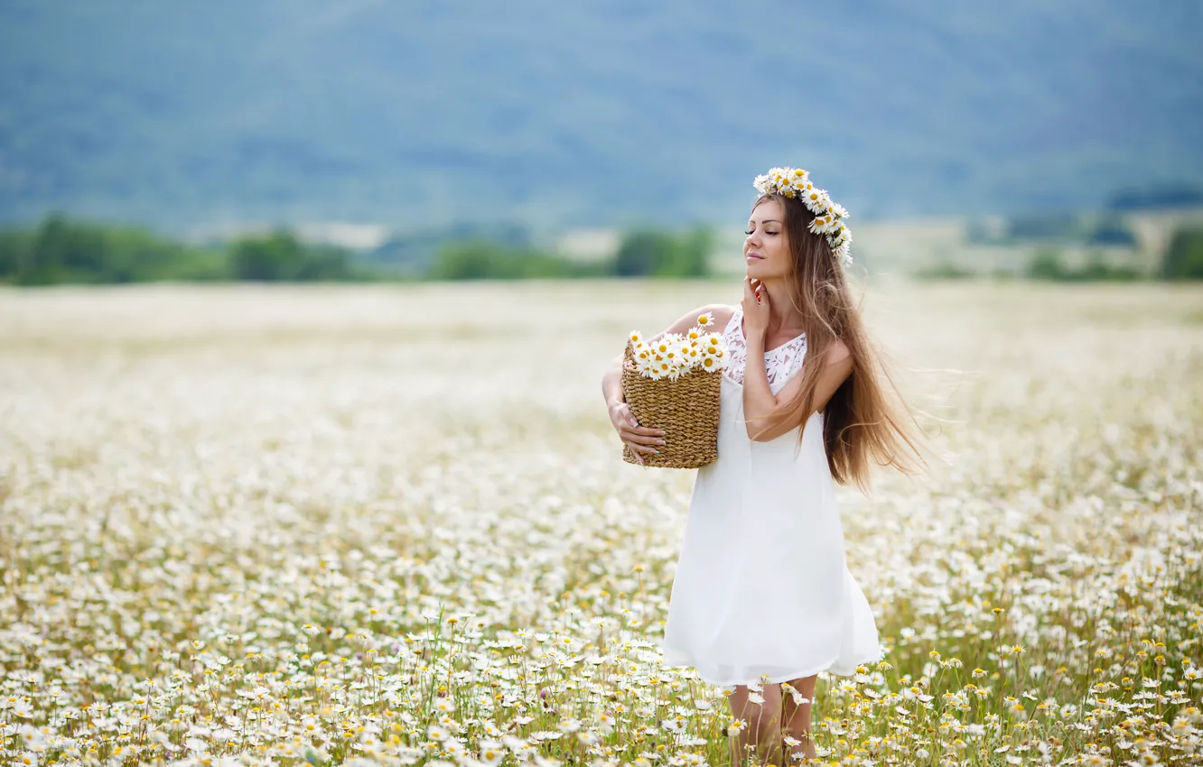 Фото обои поле, девушка, цветы, корзина, ромашки, шатенка