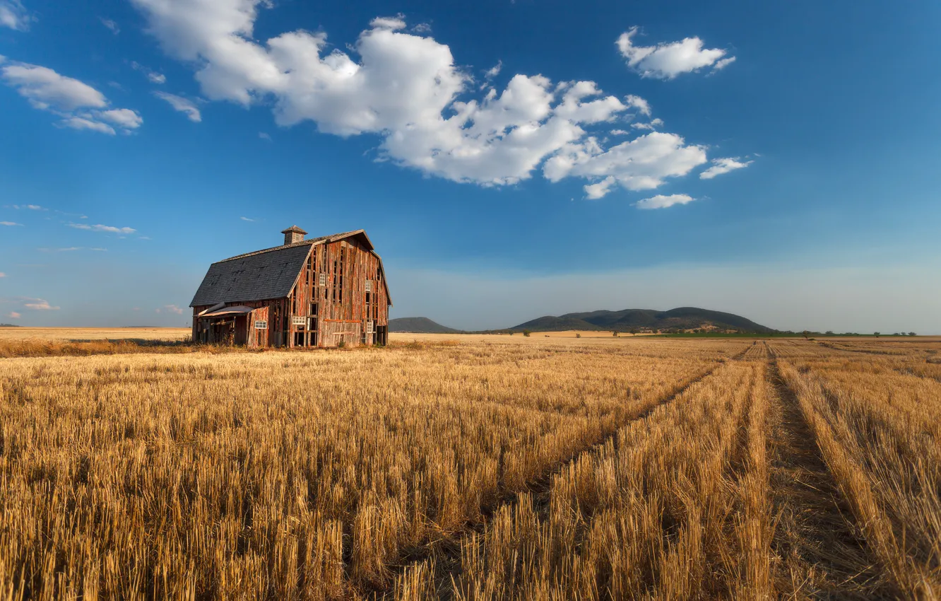 Фото обои холмы, горизонт, сарай, hills, horizon, barn, farm, фермы