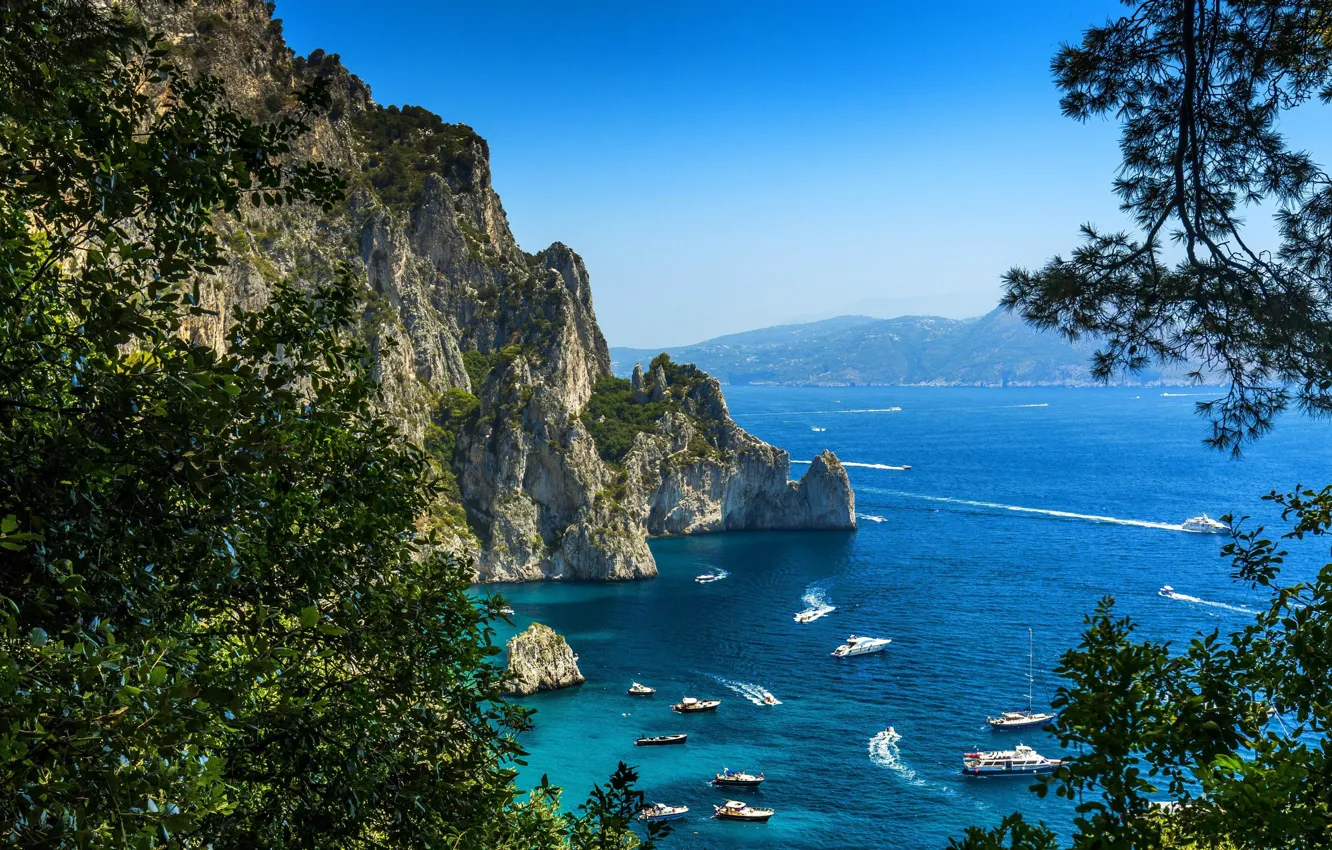 Фото обои море, горы, дерево, яхты, Италия, Капри