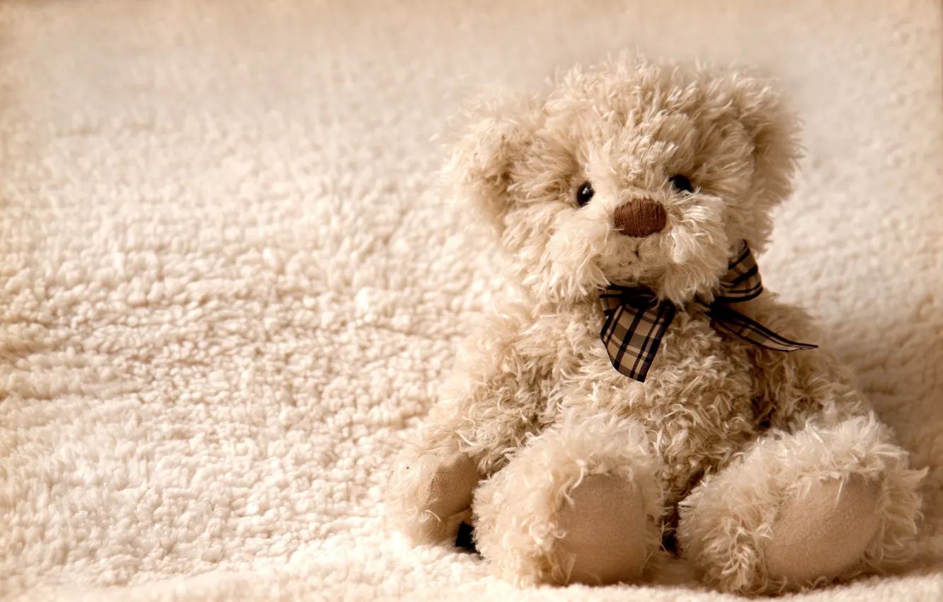 Фото обои игрушка, мишка, плюшевый, teddy bear