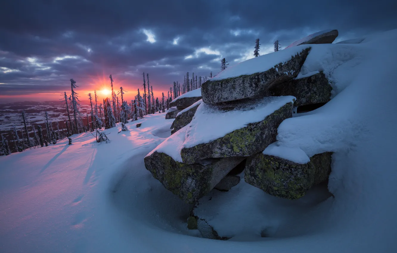 Фото обои зима, лес, солнце, снег, деревья, закат, природа, камни