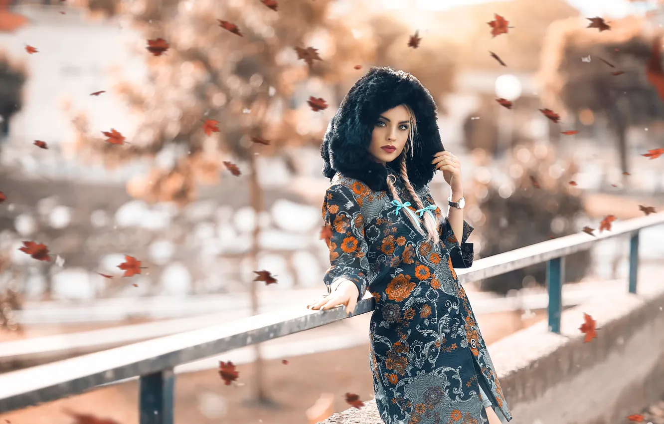 Фото обои девушка, листопад, Alessandro Di Cicco, Autumn beauty