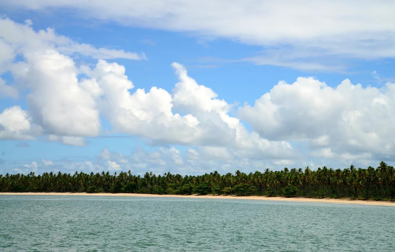 Фото обои Nature, Landscapes, Brazil, Bahia, South American