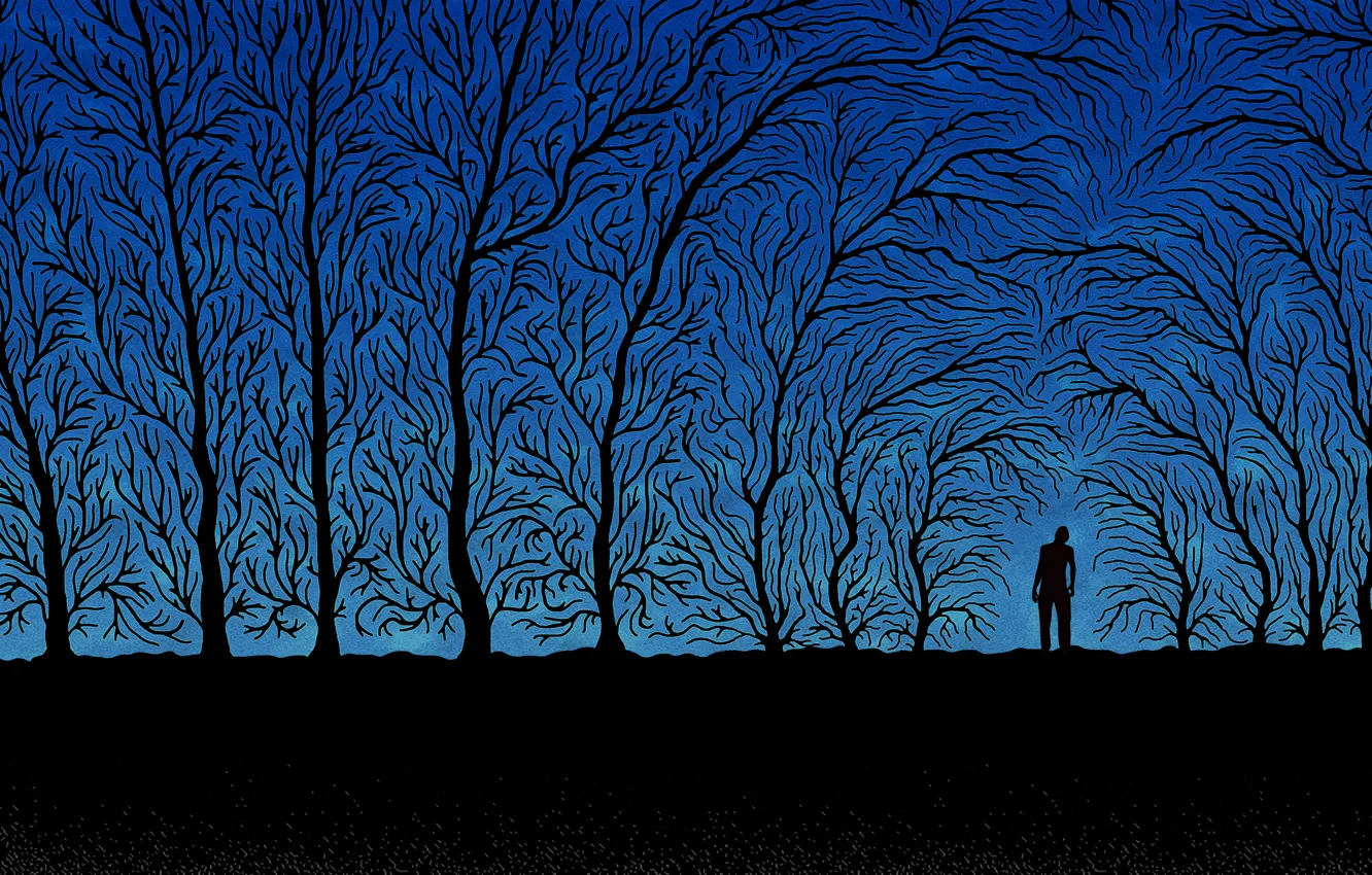 Фото обои деревья, ветки, синий, черный, человек