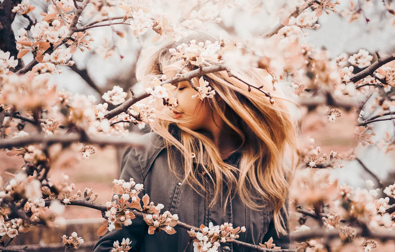 Фото обои девушка, ветки, настроение, весна, яблоня, цветение