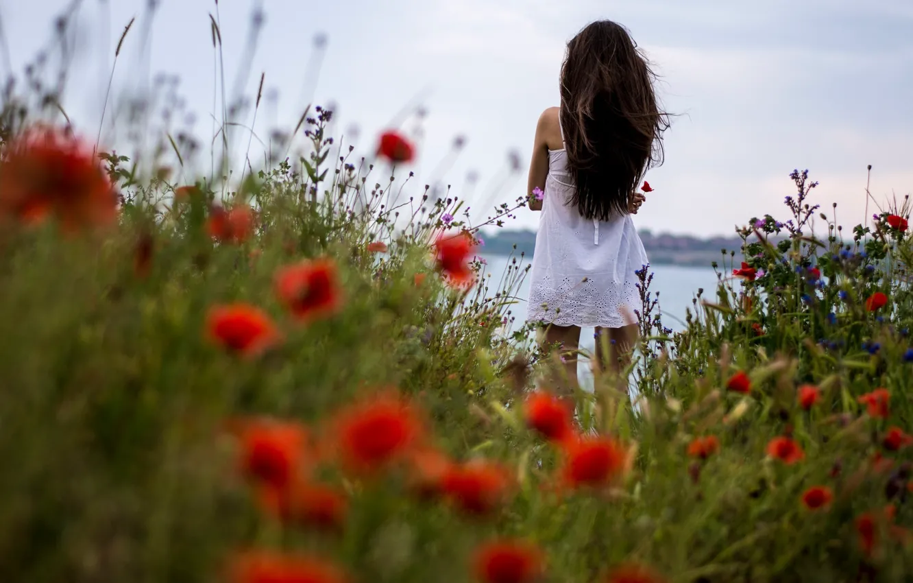 Фото обои поле, трава, девушка, цветы, настроение, маки