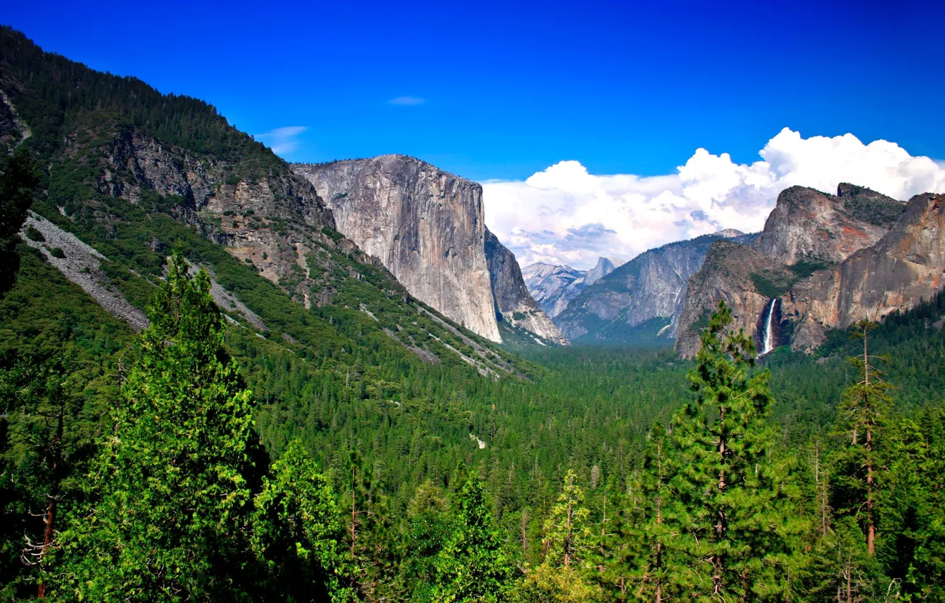 Фото обои лес, горы, природа, водопад, mountains, Yosemite NP, windows-8