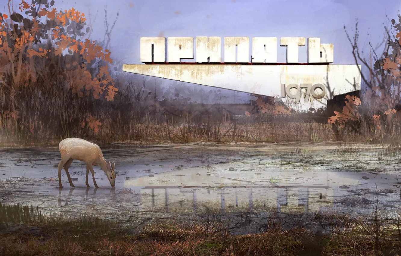 Фото обои отражение, растительность, олень, Припять, Welcome to Pripyat