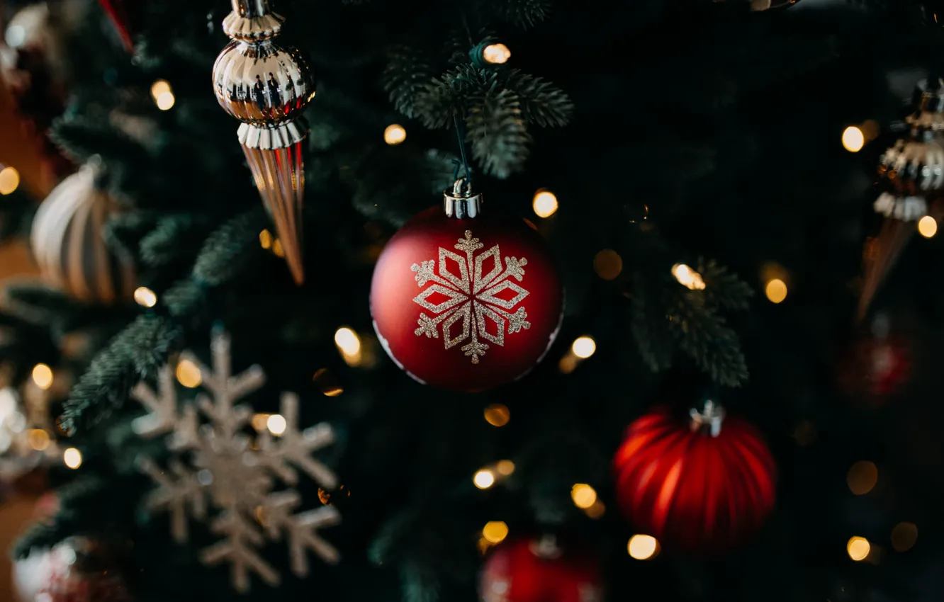Фото обои зима, шарики, ветки, темный фон, праздник, шары, Рождество, красные