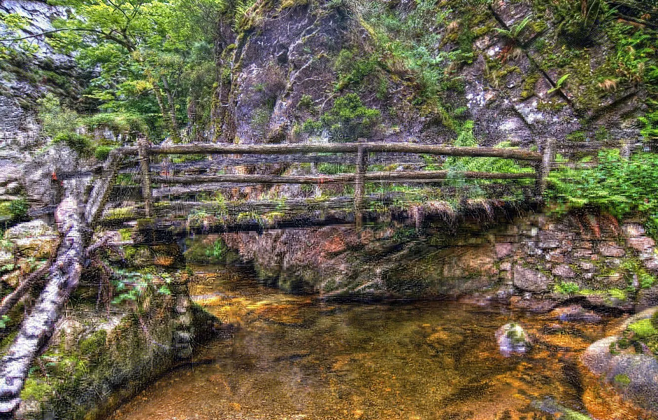 Фото обои лес, мост, ручей, камни, обработка, Испания, кусты, Asturias