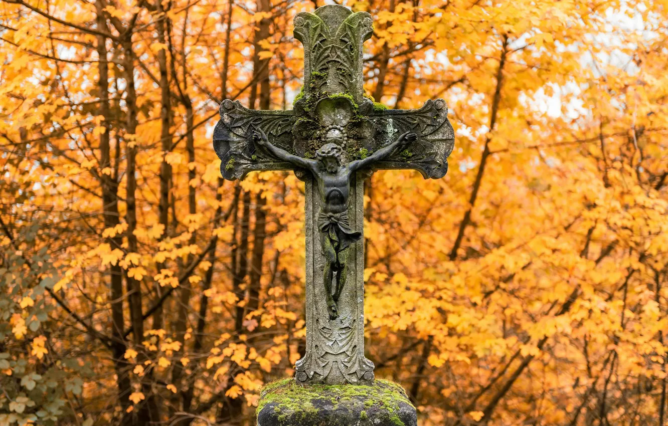 Фото обои фон, крест, кладбище