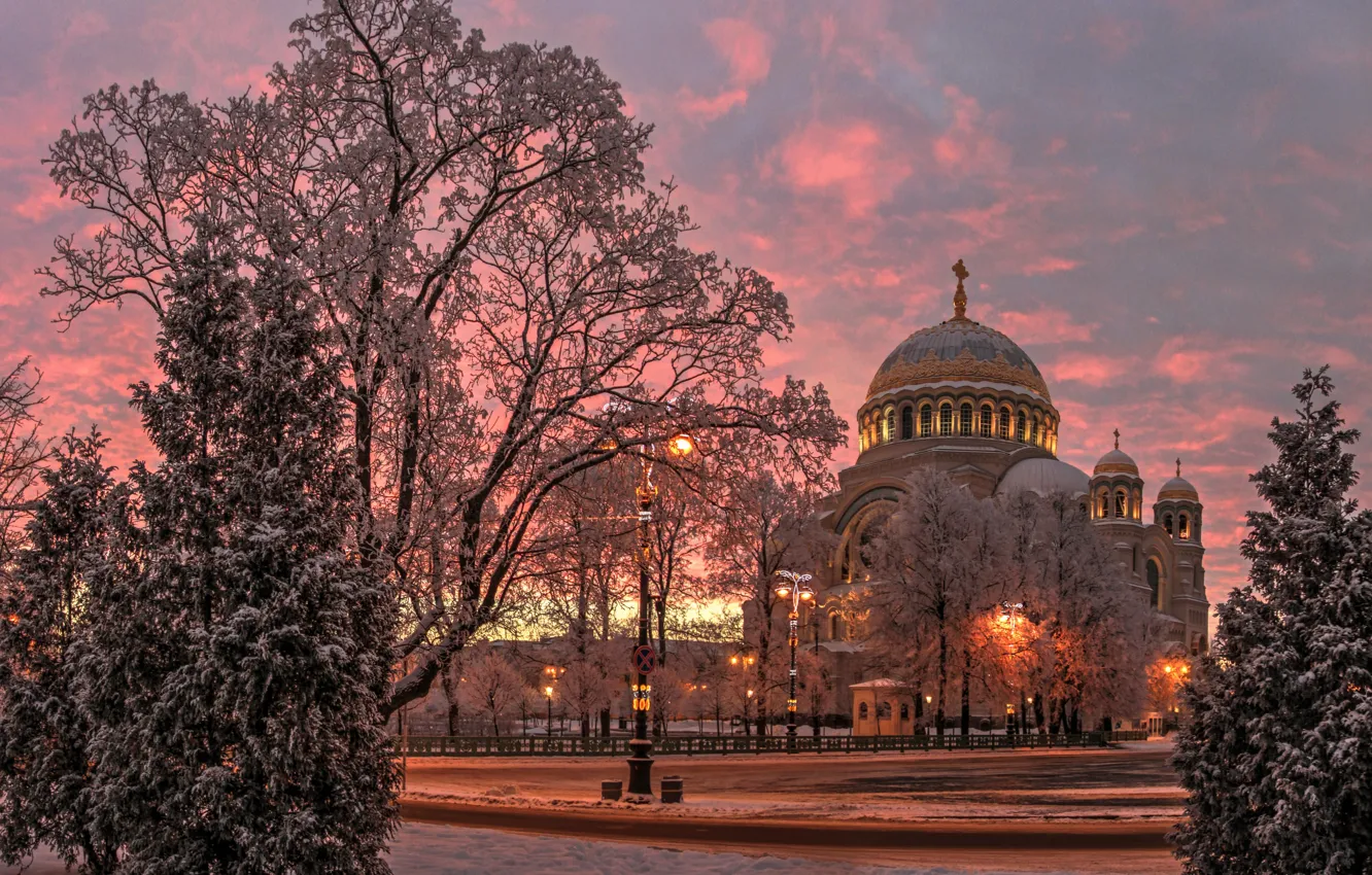 Фото обои зима, снег, деревья, пейзаж, город, вечер, Питер, Санкт-Петербург