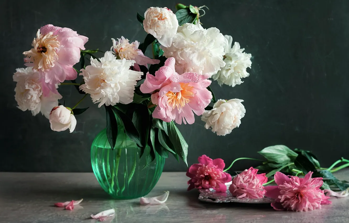 Фото обои вода, капли, цветы, лепестки, ваза, пионы