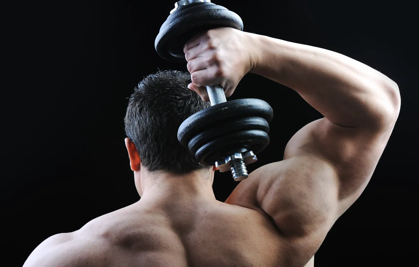 Фото обои muscles, back, bodybuilding, shoulders, dumbbell, bodybuilder