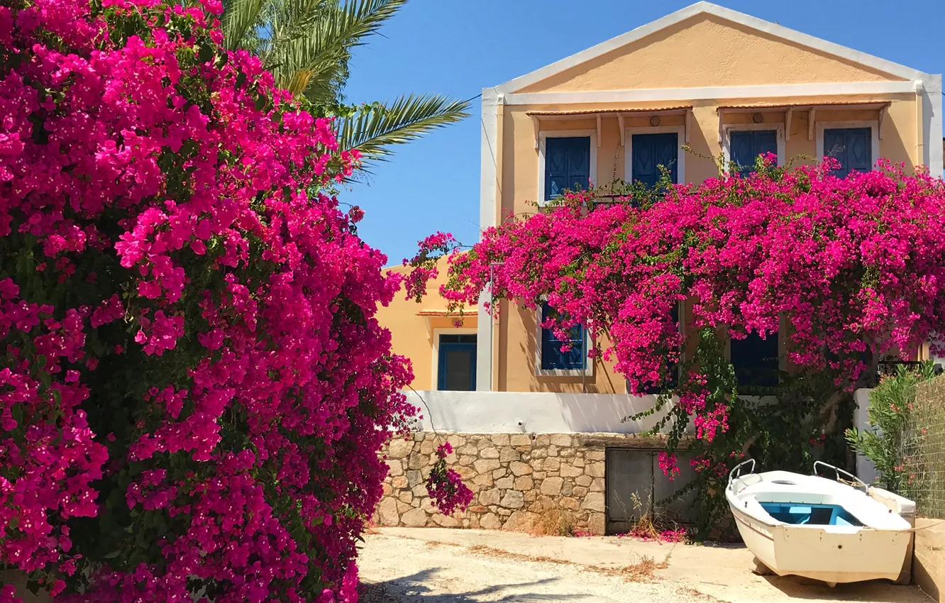Фото обои солнце, цветы, дом, лодка, Греция, сад, кусты, бугенвилия