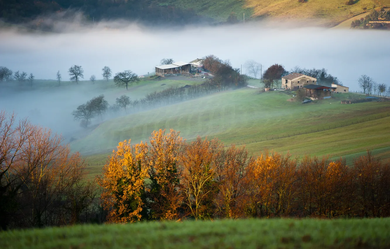 Фото обои поле, деревья, горы, туман, дом, утро, Италия, провинция Мачерата