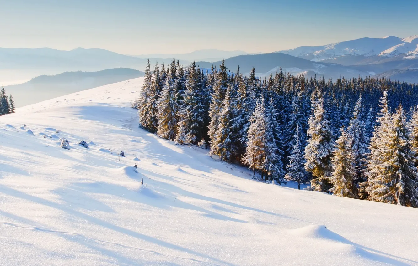 Фото обои зима, снег, деревья, горы, природа, фон, обои, елки