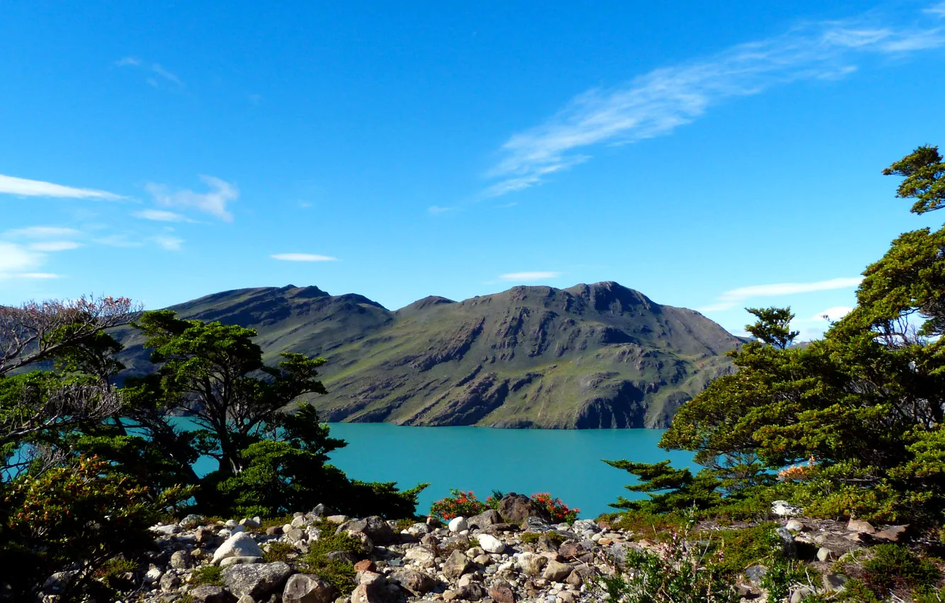 Фото обои горы, озеро, камни, кусты, Аргентина, Patagonia