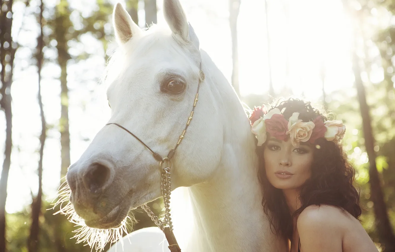 Фото обои конь, лошадь, брюнетка, белая