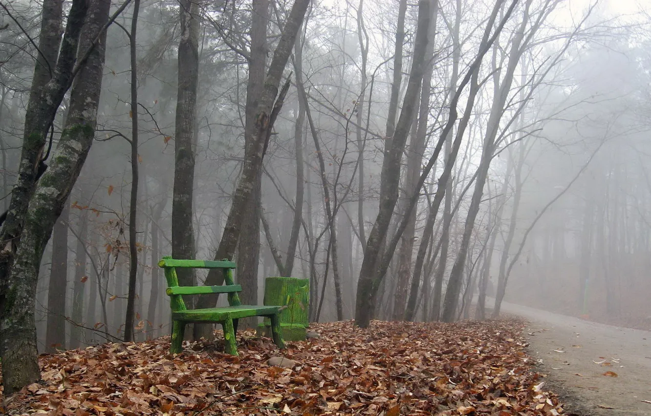 Фото обои дорога, осень, листья, туман, скамья