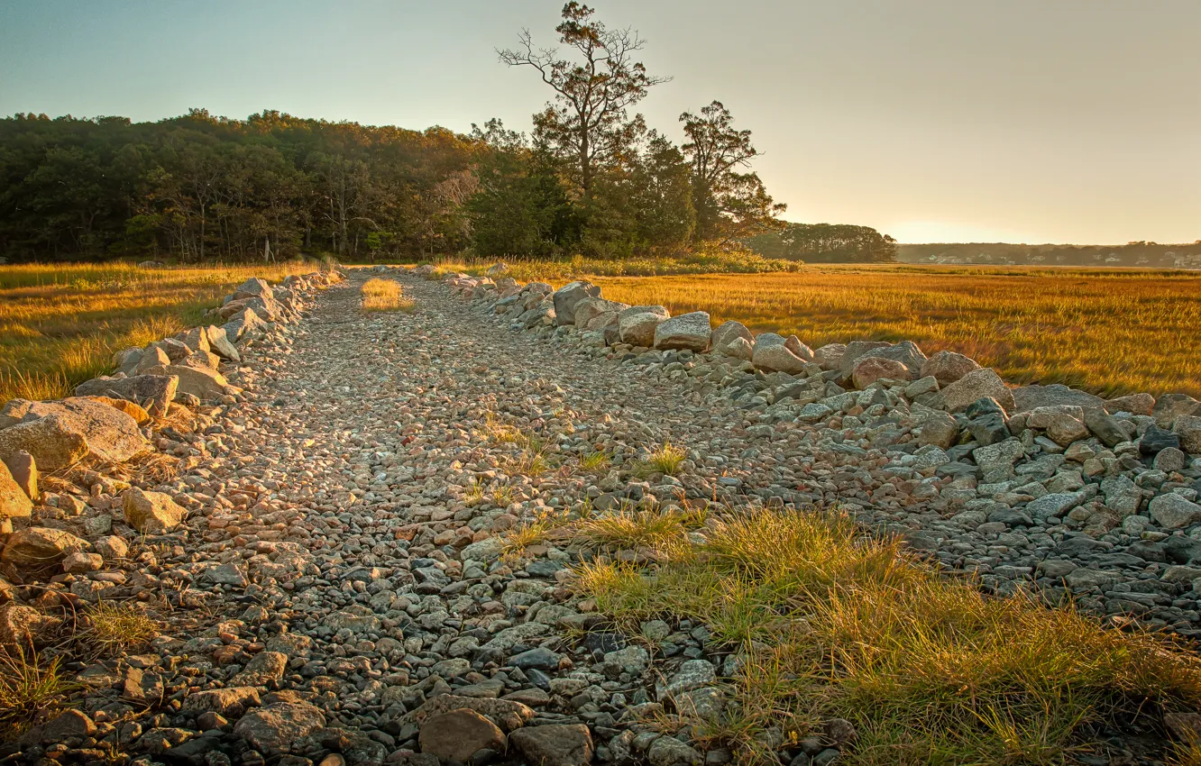 Фото обои дорога, поле, лес, пейзаж, природа, гравий