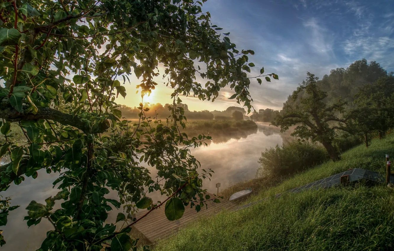 Фото обои трава, пейзаж, природа, туман, роса, река, дерево, красота