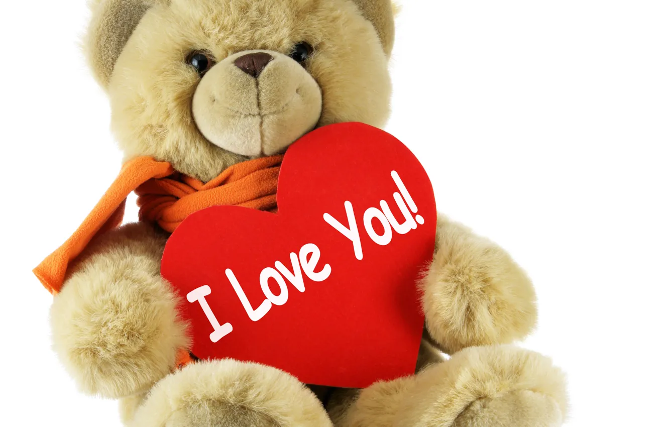 Фото обои любовь, игрушка, сердце, мишка, bear, Valentines Day, день Святого Валентина, Teddy