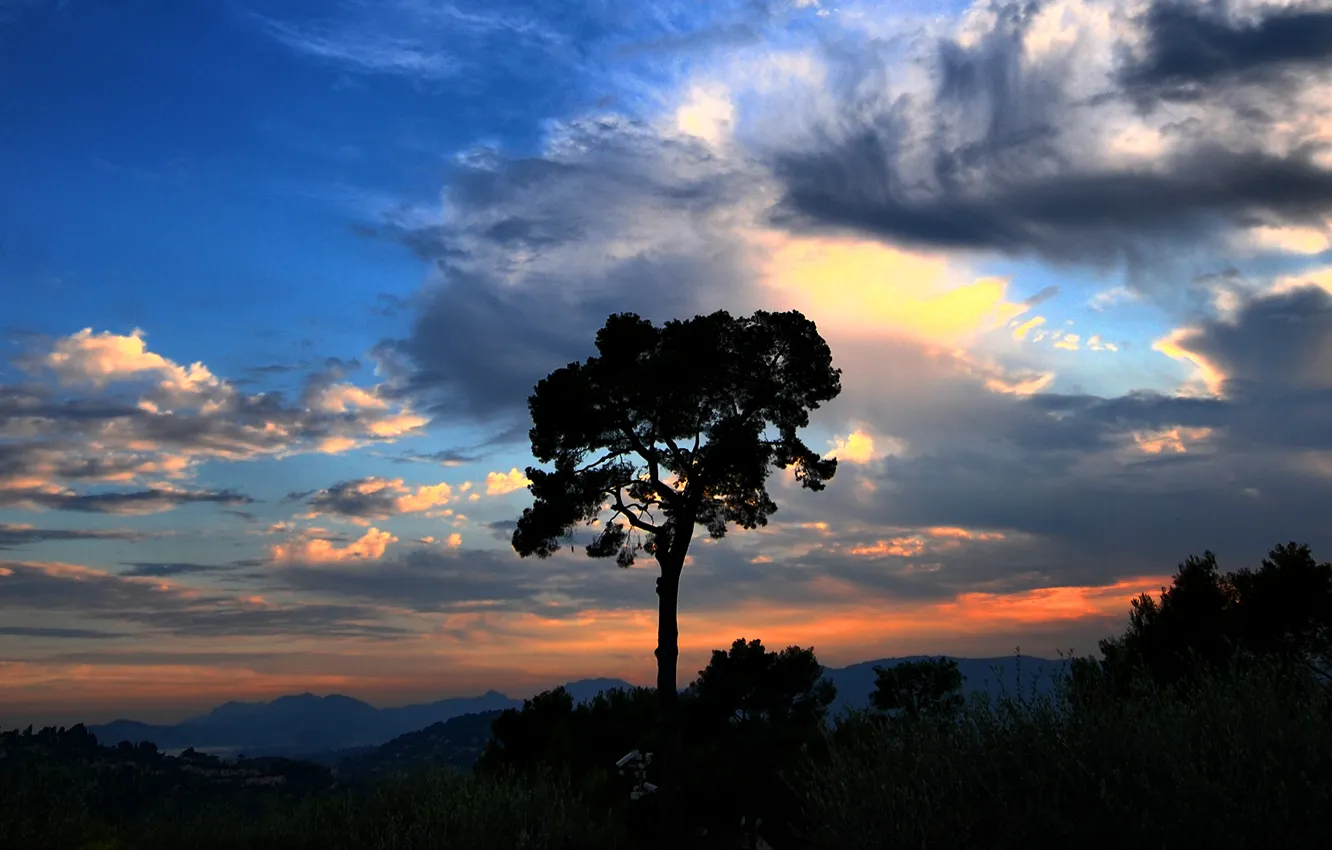 Фото обои небо, облака, горы, дерево, Закат