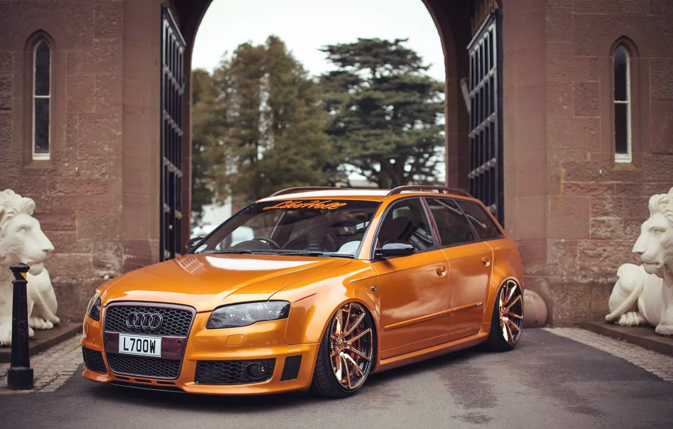 Фото обои audi, gold, quattro, tuning, orange, germany, low, stance