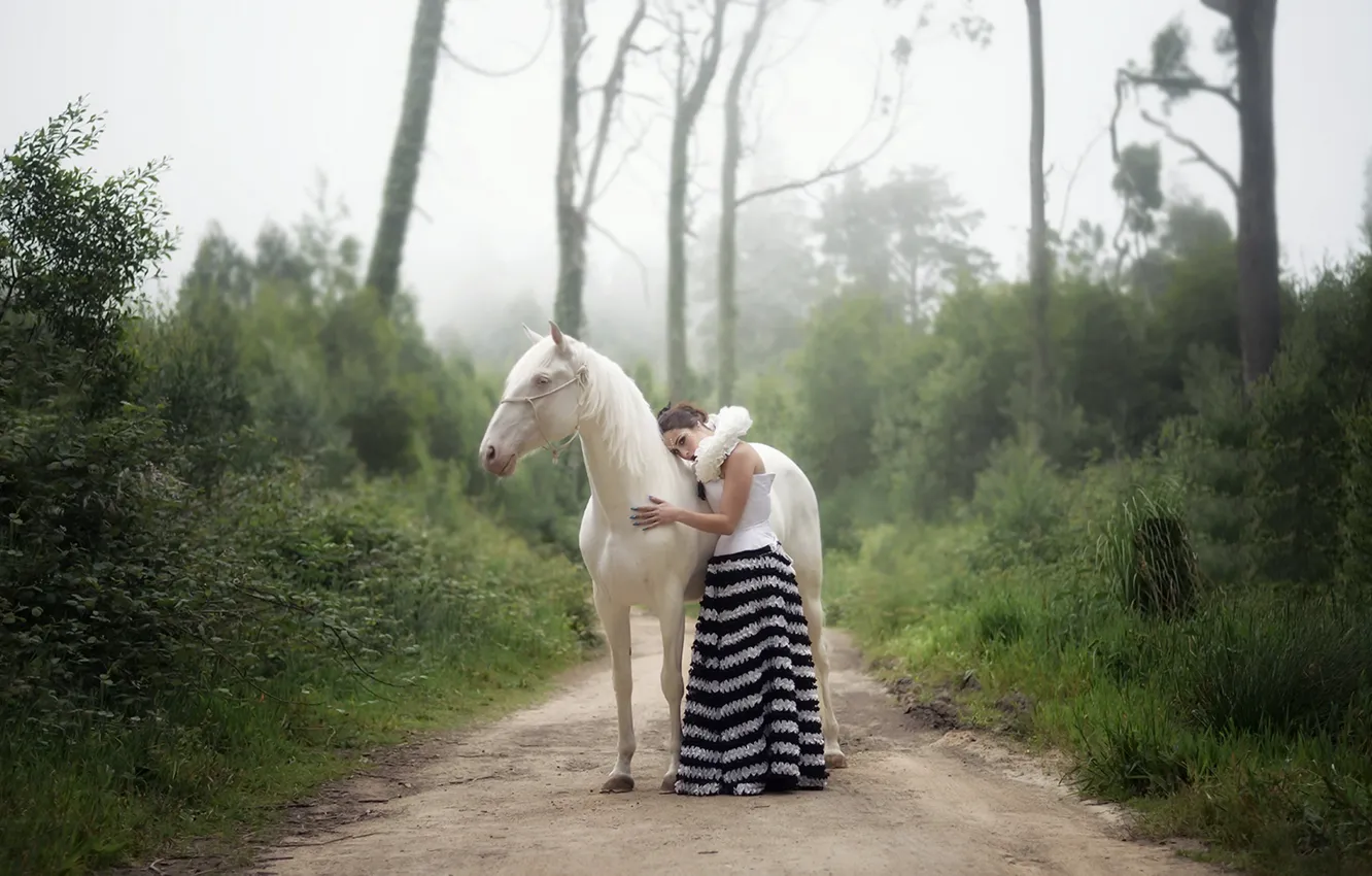 Фото обои дорога, девушка, конь