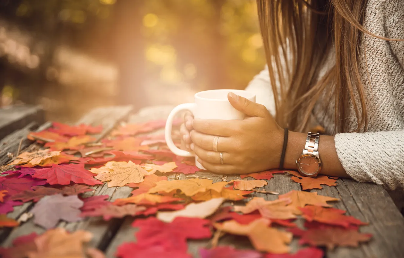 Фото обои осень, листья, девушка, парк, colorful, чашка, girl, клен