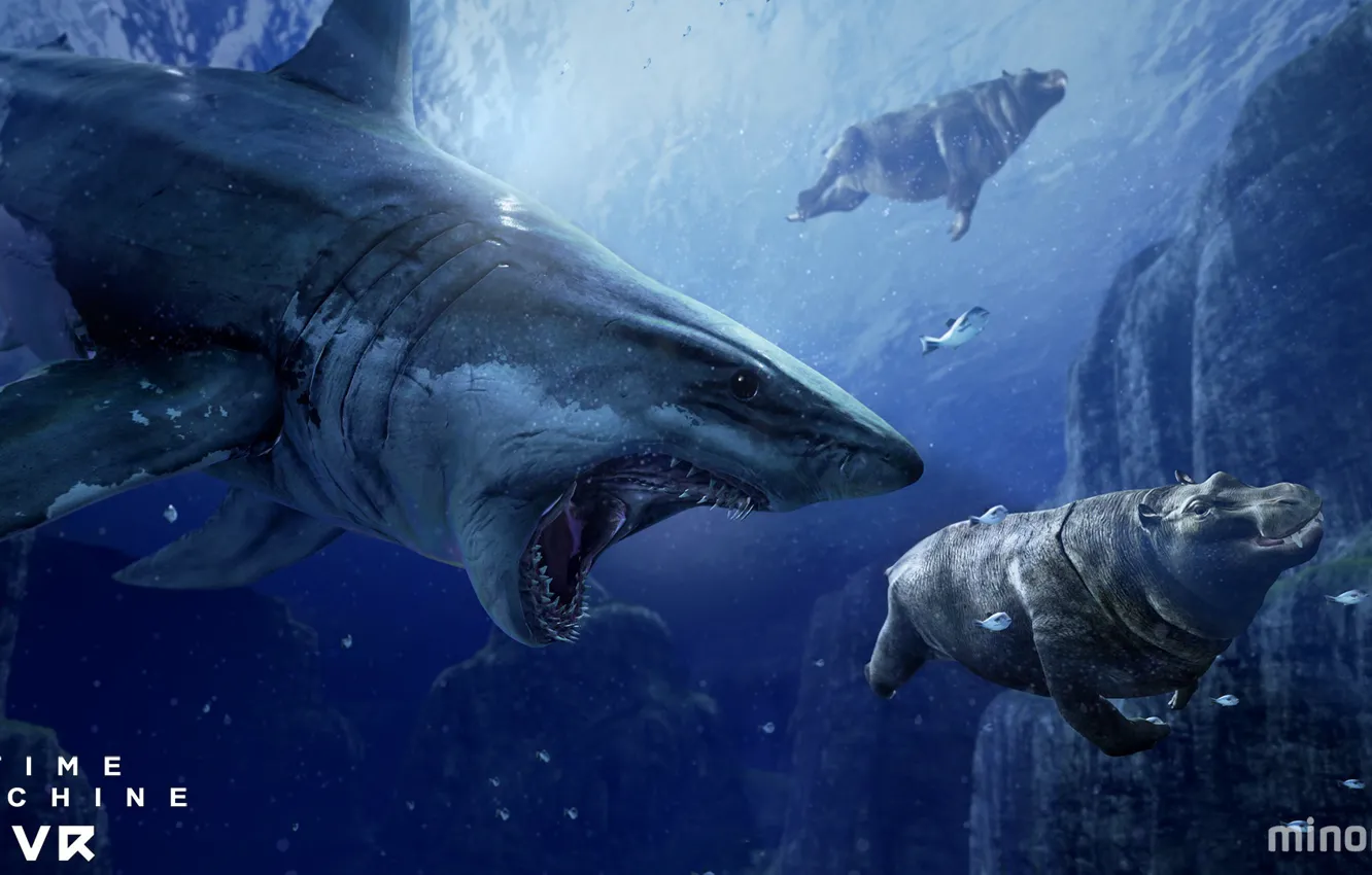 Фото обои рыба, акула, бегемот, Time Machine VR