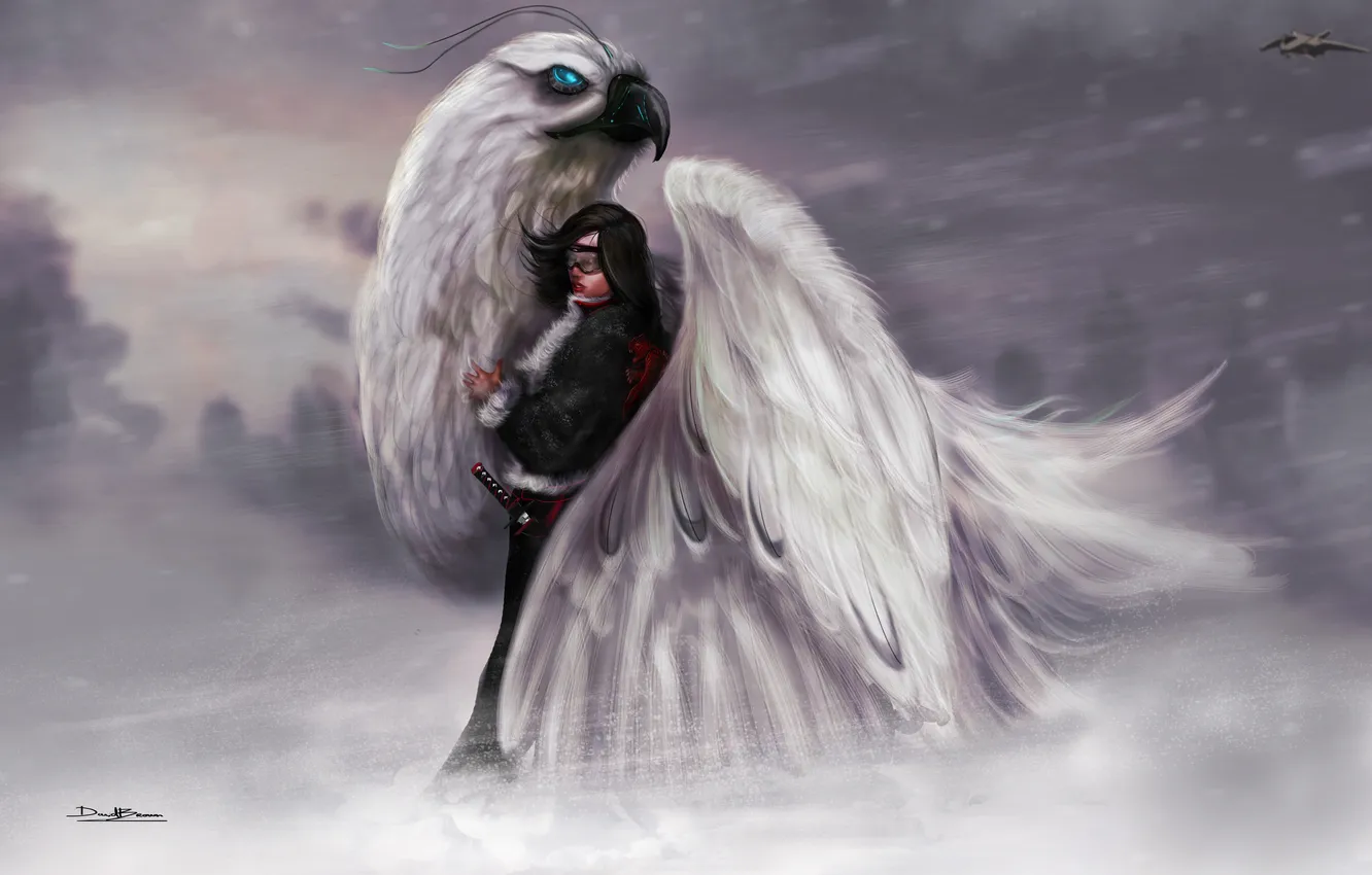 Фото обои зима, девушка, снег, самолет, птица, меч, истребитель, арт
