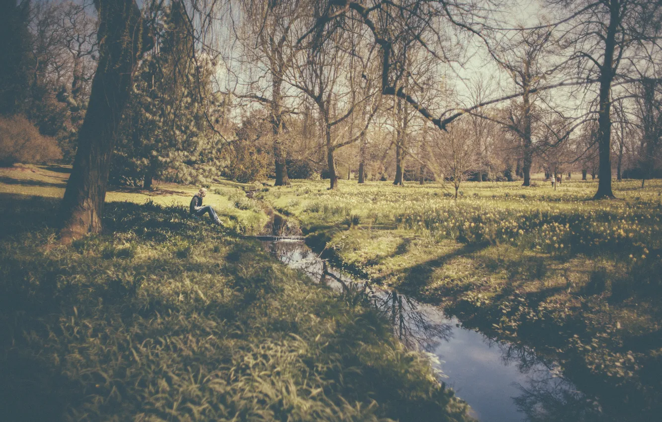 Фото обои трава, деревья, цветы, ветки, парк, отражение, ручей, человек