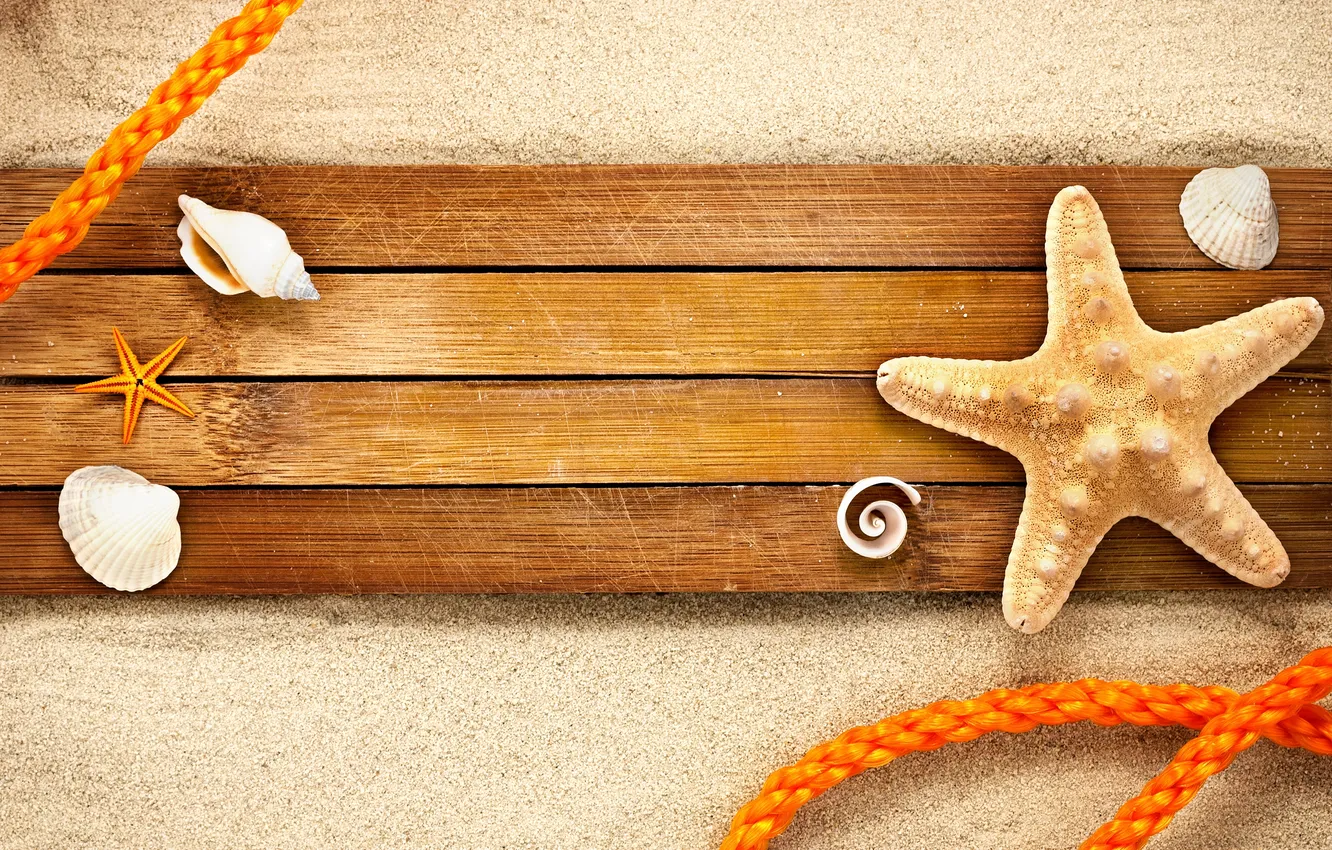 Фото обои песок, ракушки, морская звезда, верёвка