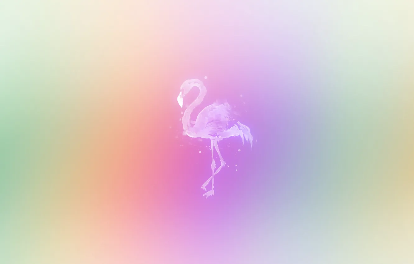 Фото обои животные, минимализм, colorful, minimal, фламинго, color, animal, flamingo