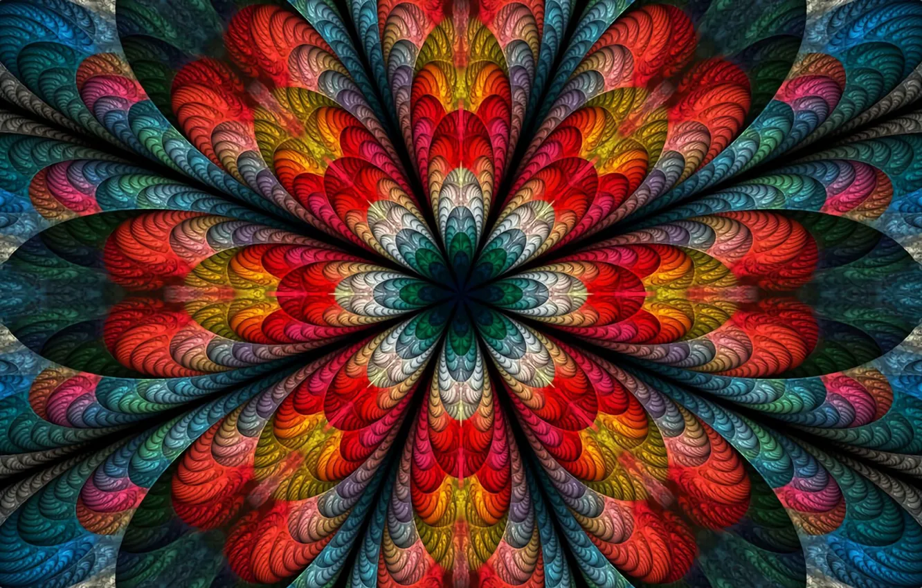 Фото обои colors, abstract, flower, digital art, fractal