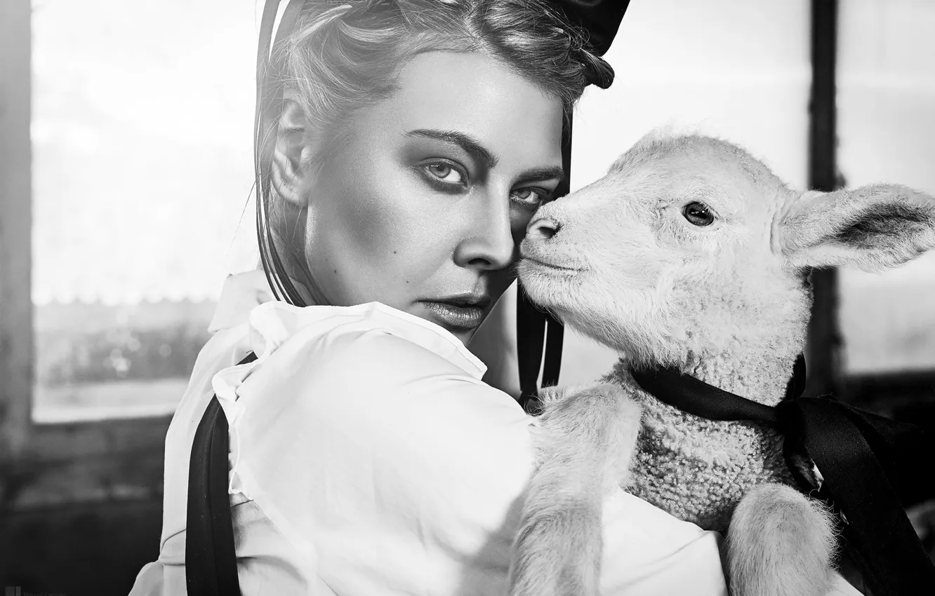 Фото обои взгляд, девушка, лицо, чёрно-белая, монохром, овечка, ягнёнок, Angela Hasler