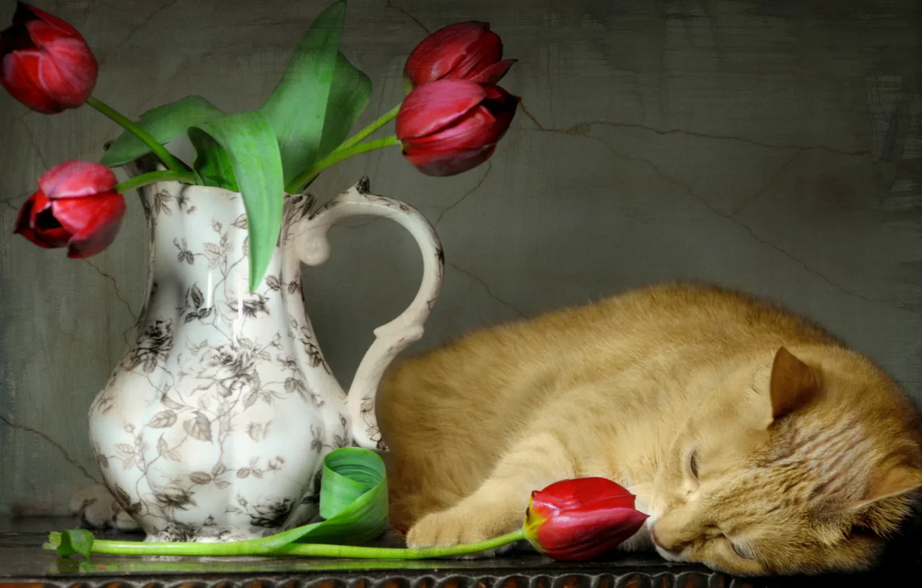 Фото обои кошка, стиль, тюльпаны