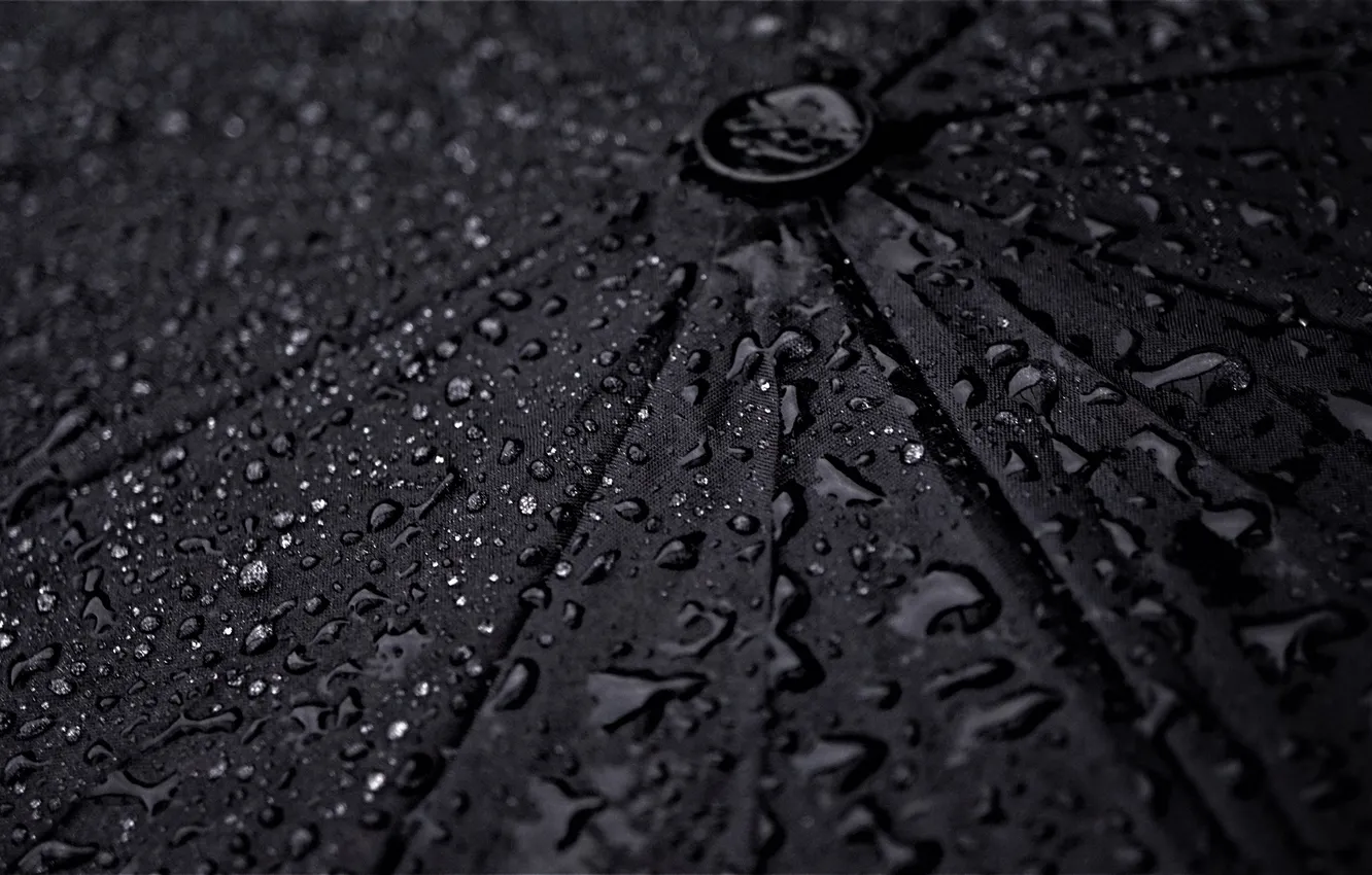 Фото обои wallpaper, Rain, Umbrella, picture, Macro, Drops