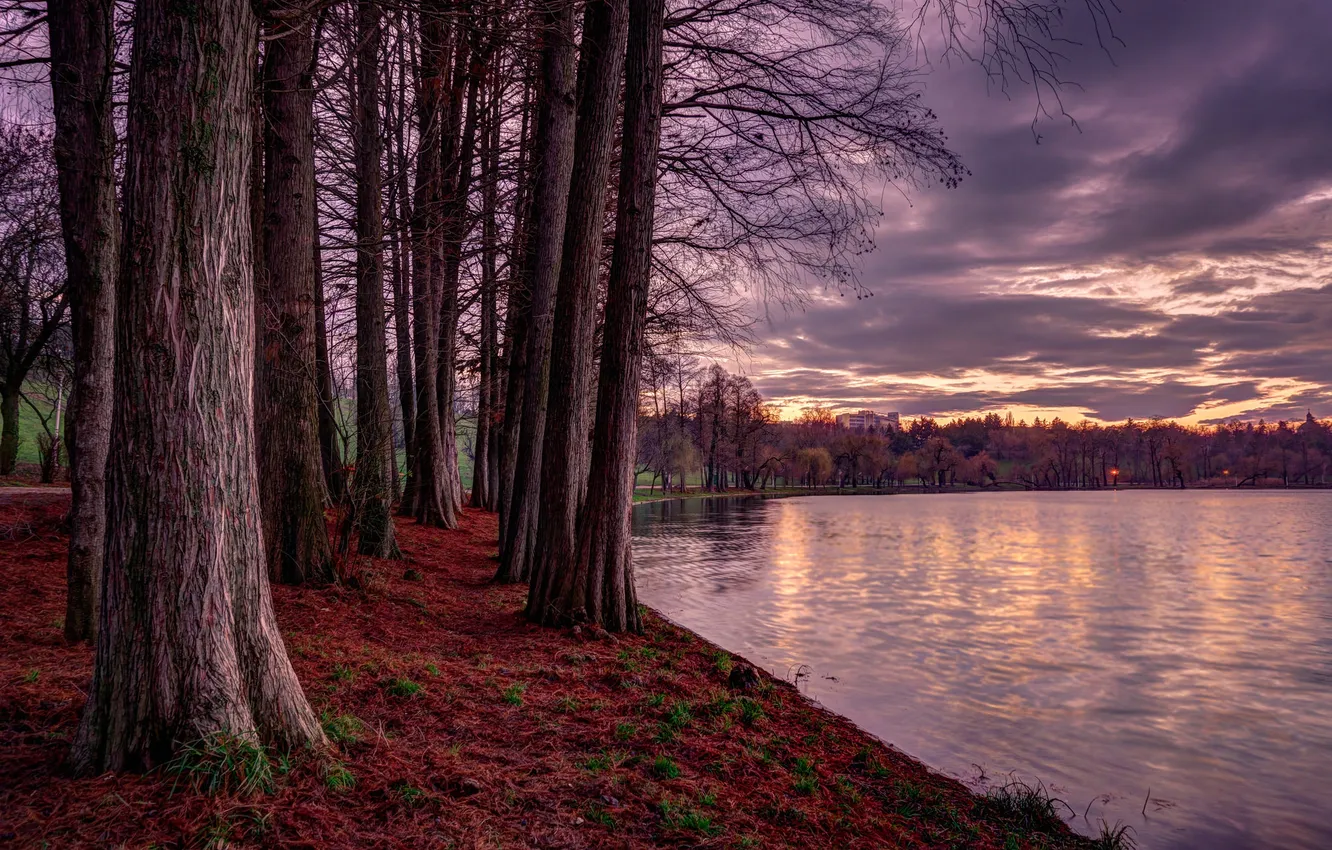 Фото обои осень, деревья, озеро, пруд, парк