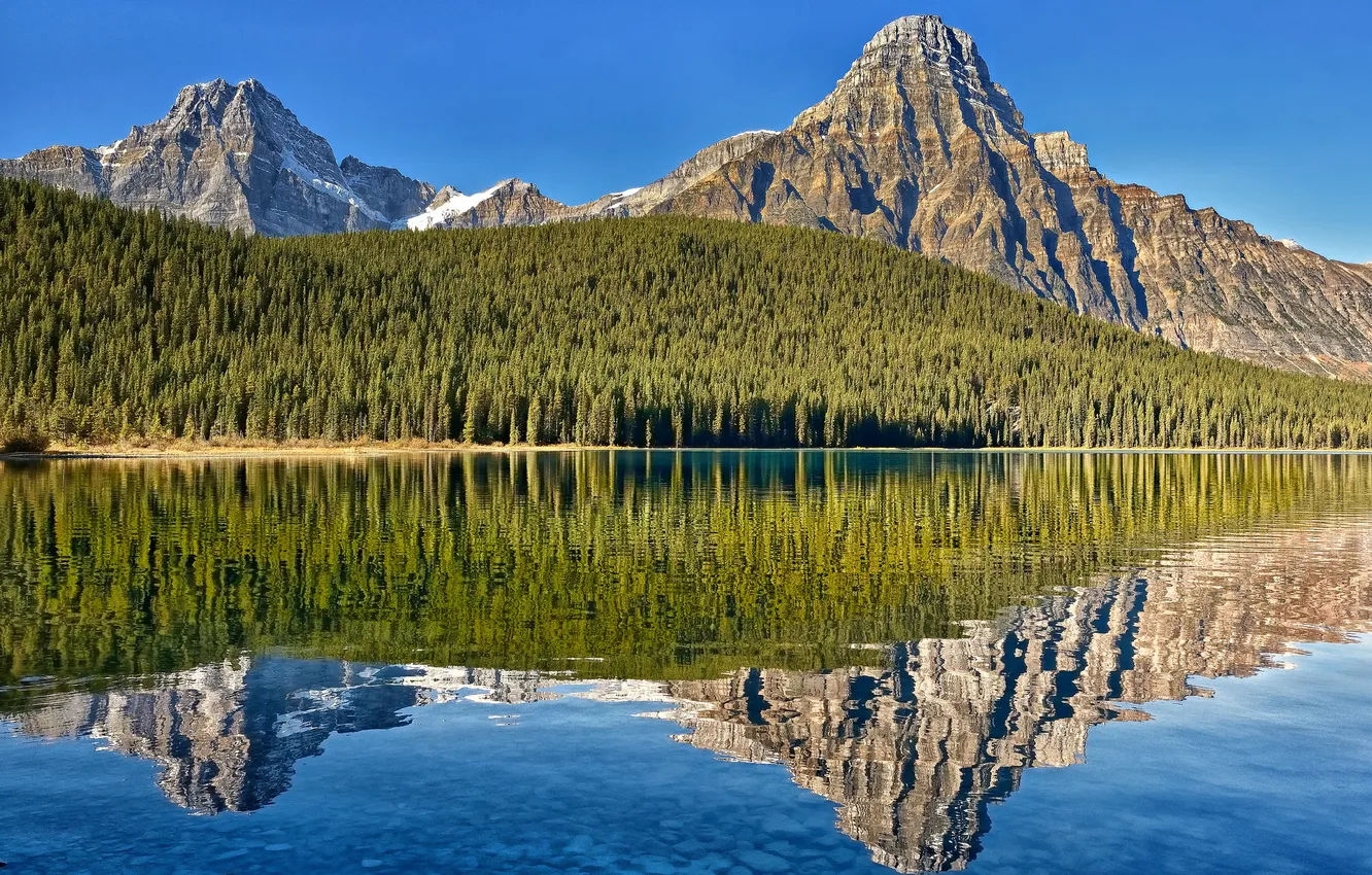 Фото обои лес, горы, озеро, отражение, Канада, Альберта, Alberta, Canada